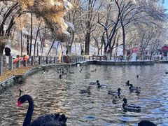 -水磨沟公园