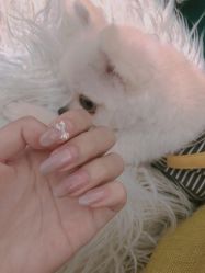 -Touch Nail·品质·美甲美睫