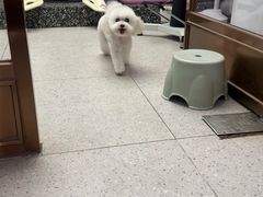 -FAELING PETS美天灵宠物(富力广场店)