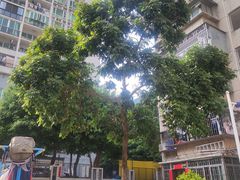 -Again Coffee Roaster(香蜜湖店)