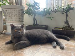 -贵厨酸汤牛肉(花果园国际中心店)