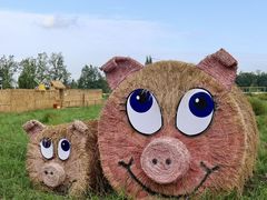 -中国天府农业博览园