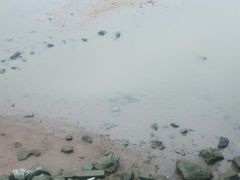 -长洲岛