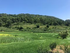 -高荡千年布依古寨旅游景区