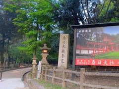-奈良公园