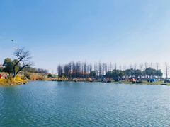 -滆湖低碳生态公园
