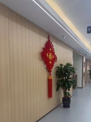 -上海伊莱美医疗美容医院