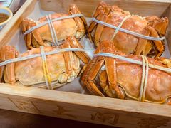 -黄记大闸蟹专卖店·活蟹·醉蟹