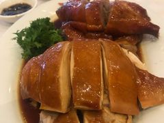 -食为先(Shark Fin)