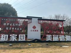 -漕湖湿地公园