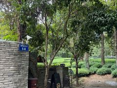 -野蔓果·山野菜(西湖景区·龙井茶田店)