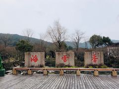 -香雪海