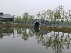 -泗洪洪泽湖湿地景区