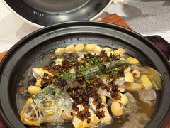 -潮江春(阳光店)