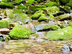 -本溪汤沟绿石谷森林公园