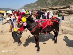 -陕西黄河壶口瀑布旅游区