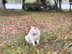 -东华大学(松江校区)