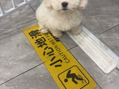 -宠颐生宠物医院·综合诊疗(先锋分院)