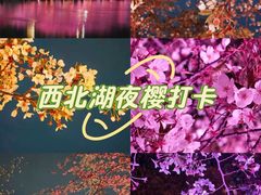-西北湖绿化广场