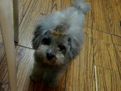-志龙皇冠吃货椰子铺