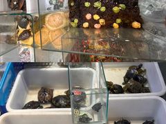 -青石桥花鸟鱼虫市场(叠翠城店)