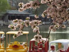 -天津五大道文化旅游区