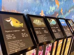 -乐从天佑城海洋馆