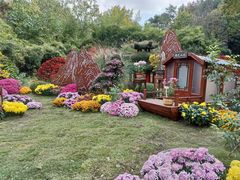 -杭州植物园