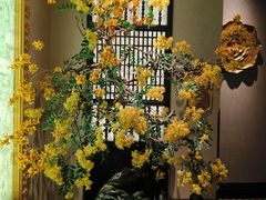 -金链花·泰国餐厅(国贸店)
