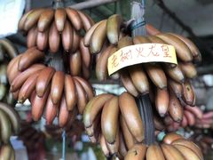 -南沙十九涌渔人码头-南门