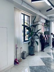 -CHIC 国潮男士发型