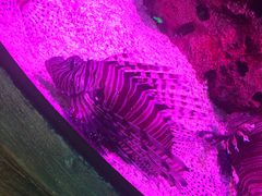 -沈阳海洋探索中心