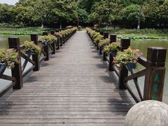 -上海鲜花港