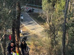 -青龙山国家森林公园