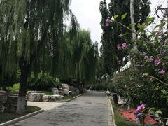 -丰台花园