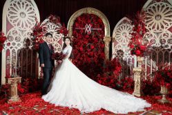 -DNA Wedding 婚礼记(上海店)