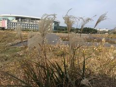 -龙头岩(Dragon Head Rock)