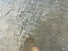 -台山黑沙湾海浴场