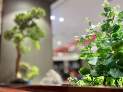 -蝎王府羊蝎子(西直门店)