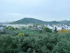 -树山生态村