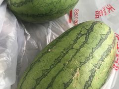 -庞各庄翠芳园西瓜蔬菜基地采摘园