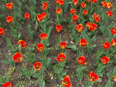 -长春公园(普阳街道)