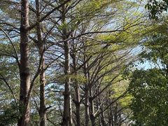 -新塘水果乐园(东洲大道店)