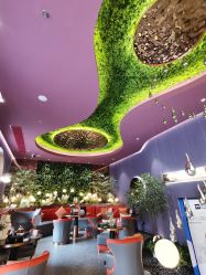 -花隐·美芙炫海菲秀皮肤管理中心