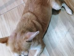 -林记海鲜排档·十年海鲜地标