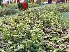 -兴芮温泉度假区