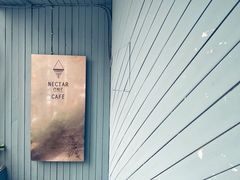 -Nectar One Cafe(勇烈路n1店)