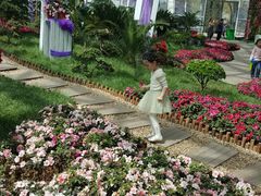 -石家庄市植物园