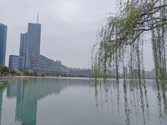 -天鹅湖体育公园