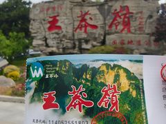 -王莽岭风景区